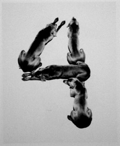 Image description is not available for 2001.033